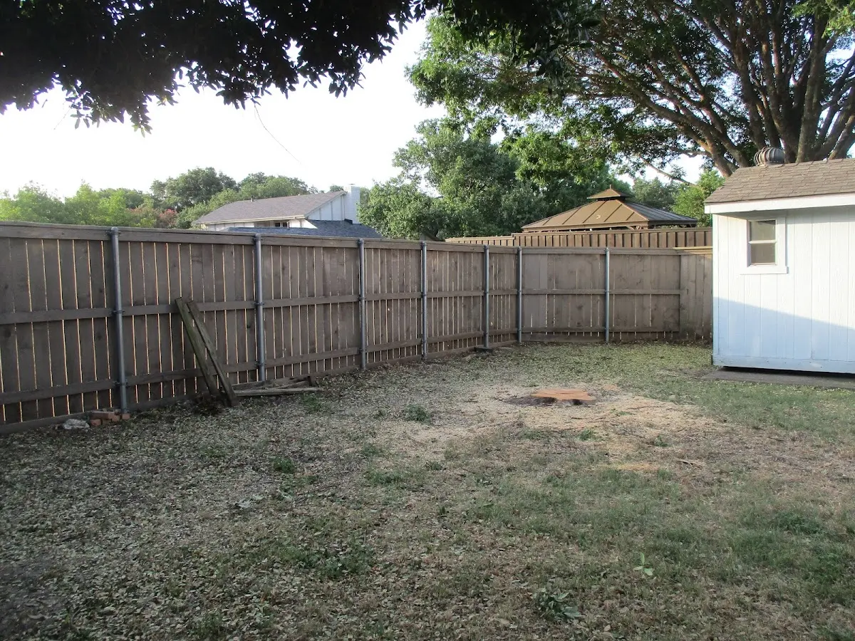 Cleared yard after professional tree removal in Knox